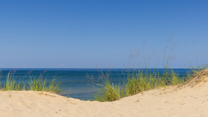 Tall grass on sand dunes at Lake Michigan shore line on a sunny day.