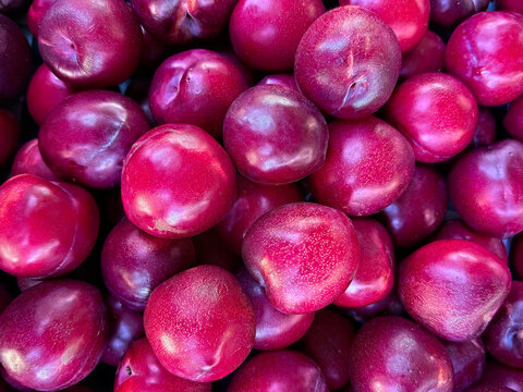 Organic pluots in a farmers market, half plum and half apricot