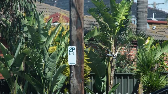 Street parking sign on a wooden pole surrounded by Australian suburban houses. Concept of restriction in residential environment and car parking rules in the local neighborhood
