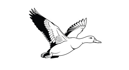 Fototapeta premium A minimalist black and white line art illustration captures a wild duck in graceful flight with outstretched wings.