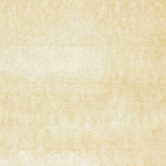 Old Paper texture. vintage paper background or texture; brown paper texture