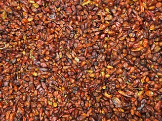 Background of dried piquin chilli (chile piquin).