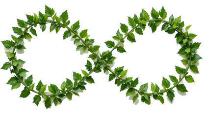 green leaves forming to an infinity recycle sign on a white isolated.