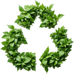 green leaves forming to an infinity recycle sign on a white isolated.