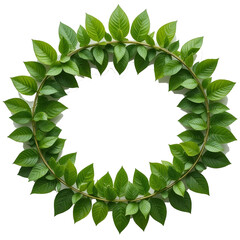 green leaves forming to an infinity recycle sign on a white isolated.