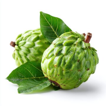 Fresh Green Sugar Apples or Sweetsops with Leaves on White Background