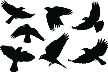 Set of flying bird silhouettes isolated on white background, vector illustration showing different bird positions in flight, nature wildlife and freedom concept