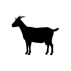 Female goat silhouette icon vector flat design.
