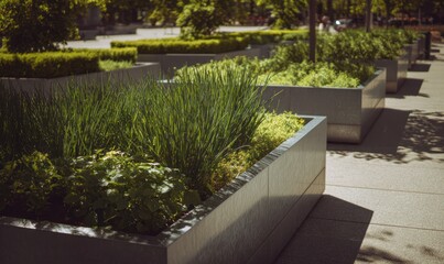 Raised beds in the farm, high beds for growing vegetables and greens, gardening and agriculture concepts, AI generated