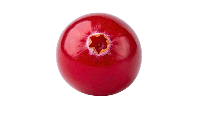 Single, glossy cranberry with a star-shaped core on black