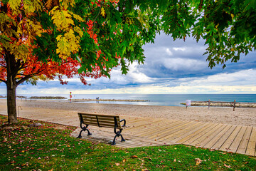 Fototapeta premium Park bench on wooden boardwalk framed by fall leaves shot at Kew Beach in Toronto