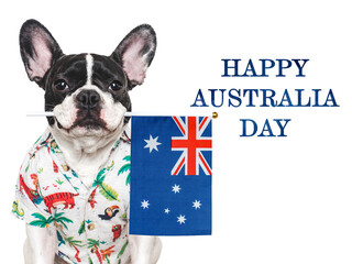 Happy Australia Day. Cute puppy and Australian Flag. Closeup, indoors. Studio shot. Congratulations for family, loved ones, relatives, friends and colleagues. Pet care concept