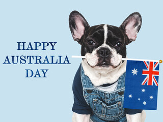Happy Australia Day. Cute puppy and Australian Flag. Closeup, indoors. Studio shot. Congratulations for family, loved ones, relatives, friends and colleagues. Pet care concept