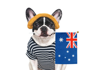 Lovable, charming puppy and Australian Flag. Closeup, indoors. Studio shot. Congratulations for family, loved ones, relatives, friends and colleagues. Pet care concept