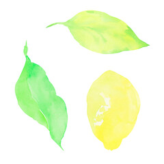 Yellow lemon with leaves painted in watercolor