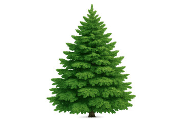 Obraz premium Green spruce tree standing vertically, ideal for a christmas holiday, natural forest, or winter season render, on transparent background
