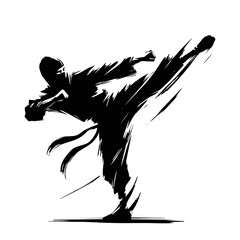 Silhouette of a Karate Master Performing a Kick