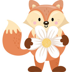 Cute cartoon fox character holding a white daisy flower with a transparent background in a whimsical forest illustration style