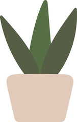 green plant in a pot