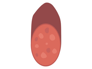 Sliced Sausage Salami
