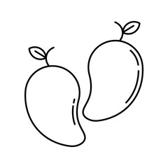 Mango icon on white background
