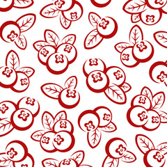 Cranberry pattern background set. Collection icon cranberry. Vector