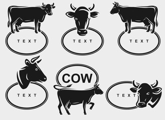 Cow labels and icon set. Collection icons cow. Vector