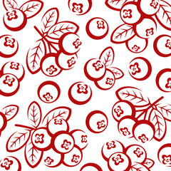 Cranberry pattern background set. Collection icon cranberry. Vector