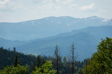 A beautiful natural landscape of Carpathian forested mountains in summer