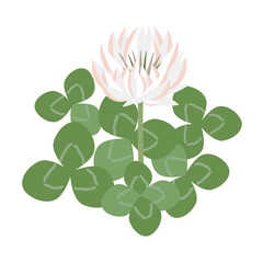 シンプルなシロツメクサのイラスト