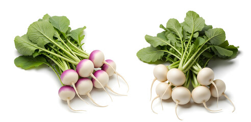 Young turnip bunches with roots and green leaves on white background