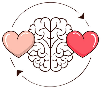 Human brain illustration with two hearts orbiting in a continuous cycle, symbolizing emotional intelligence and logical thinking balance