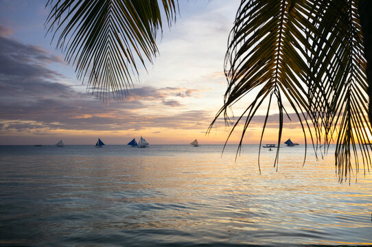 Palm leaves and ocean with sailboats at sunset, Boracay, Philippines