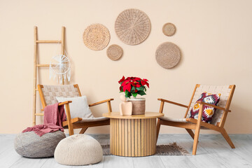 Interior of living room with Christmas plant poinsettia on table and armchairs