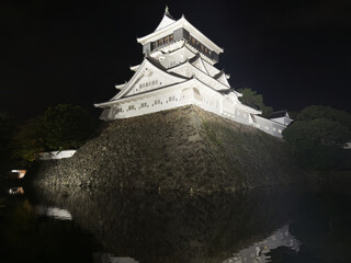Japanese Castle