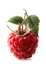 Watercolor illustration of vibrant red raspberry with green leaves and stem on white background. Hand-painted realistic berry artwork for food, nutrition, healthy eating, and culinary design concepts.