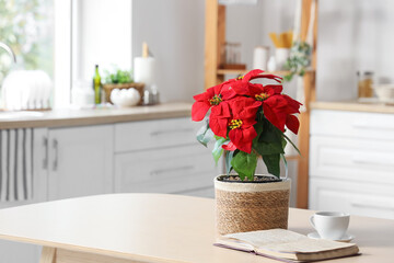 Christmas plant poinsettia with coffee cup and book on table in kitchen