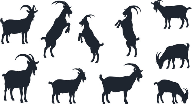 Collection of silhouette goat poses for farm livestock and wildlife design elements isolated on transparent background