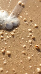 Beach Sand Texture: The sun kisses the shore, unveiling a tapestry of glistening sand, frothy sea foam, and scattered shells.