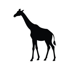 Silhouette of a giraffe standing in profile against a white background, giraffe profile view silhouette vector illustration