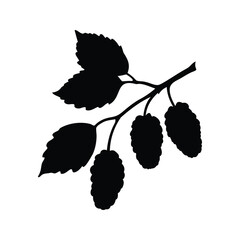 A striking silhouette of a mulberry branch laden with berries and leaves, mulberry branch silhouette vector illustration