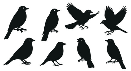 Collection of diverse bird silhouettes for graphic design projects and artistic applications isolated on white background