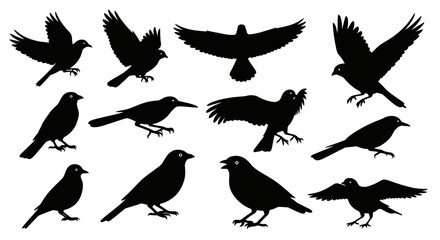 Collection of silhouetted birds in various flight and perching poses diverse avian imagery isolated on white background