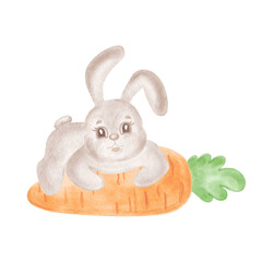 Cute little bunny with carrot. Watercolor rabbit illustration for Easter design. Hand-drawn isolated adorable hare. Smiling character for baby shower. Clip art funny forest animal for greeting card.
