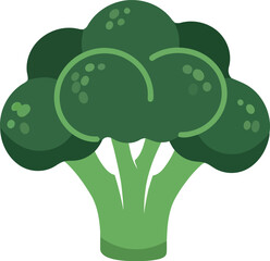 Fresh broccoli icon healthy green vegetable isolated graphic vector