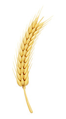 Obraz premium PNG 3D wheat branch, element illustration, transparent background