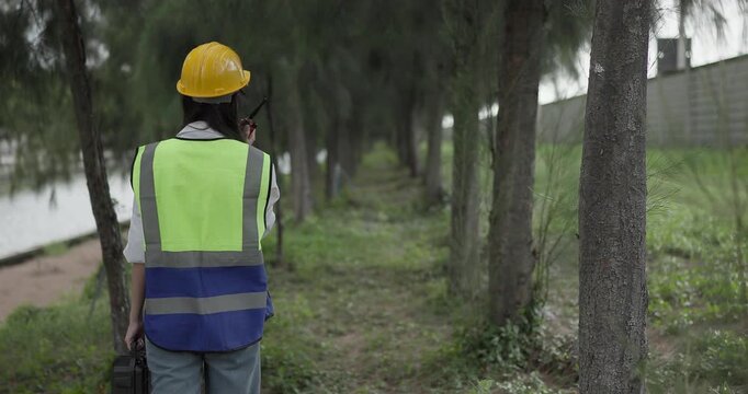 Female environmental engineer conducts field survey in pine forest, measuring, documenting tree diameter for carbon credit verification. Climate action, green forestry, ecological conservation efforts