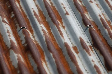 Rusty corrugated metal sheet with weathered texture and visible bolts
