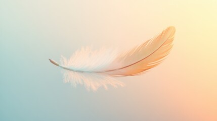 Obraz premium Soft feather gently floating against a soft pastel background during golden hour