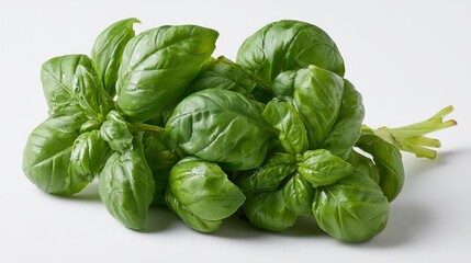 Fototapeta premium Fresh green basil sprigs arranged on white background with soft lighting and clear textures, ideal for culinary and healthrelated content